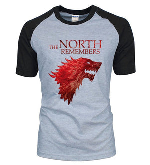 Game Of Thrones The North Remembers T-shirt